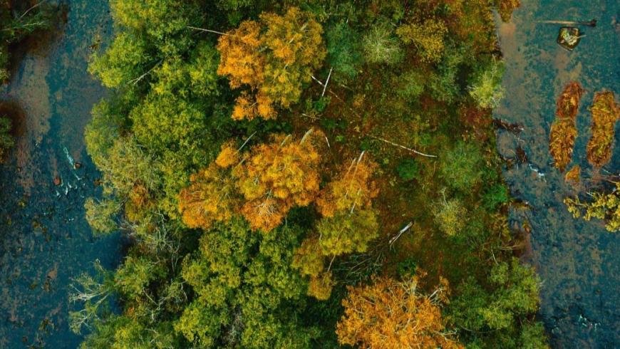 Agroecosistemi e corridoi ecologici per la Pace